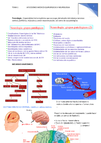 Tema-1-AFECCIONES-MEDICO-neuro.pdf