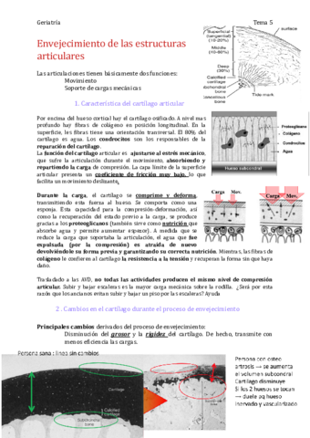 Tema-5-enevejecimiento-articular.pdf