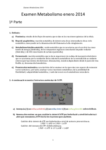 Metabolismo-Examen-2014-hecho.pdf