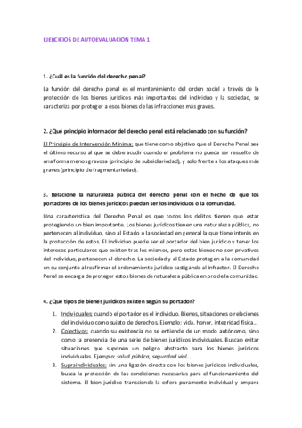 Autoevaluacion-tema-1-2.pdf