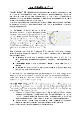 Una-mirada-a-l-ull.pdf