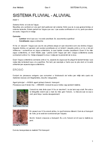 SISTEMA-FLUVIAL-ALUVIAL-1.pdf