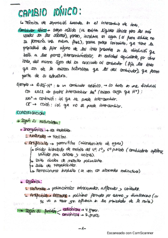 Cambio-ionico-teoria.pdf