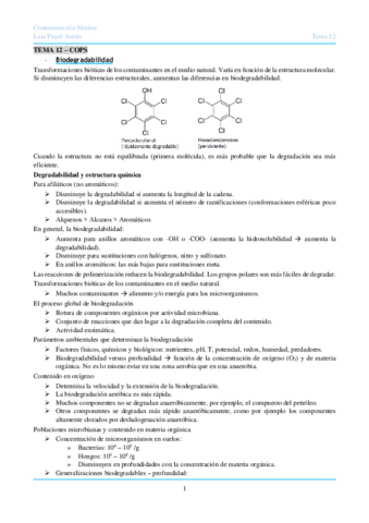 CMTema-12COPs.pdf