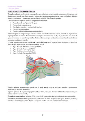 OQTema-5-Trazadores.pdf
