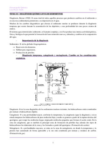 OQTema-11-Diagenesis.pdf