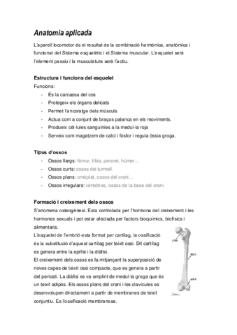 Anatomia-aplicada-.pdf