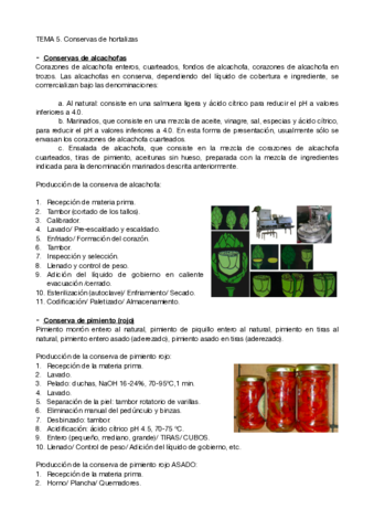 TEMA-5-CONSERVAS-DE-HORTALIZAS-.pdf