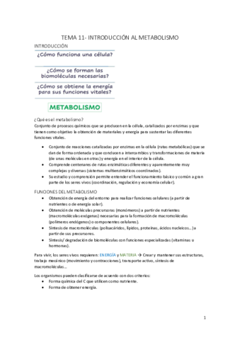 Tema-11.pdf