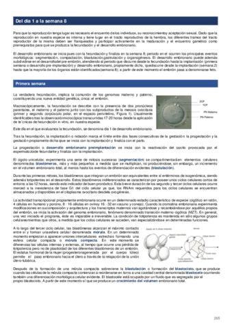 Semana-1-4.pdf