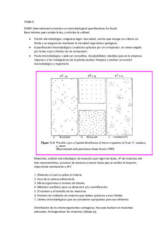 TEMA-9.pdf