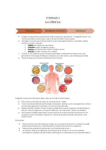 Fisiopatologia-general.pdf