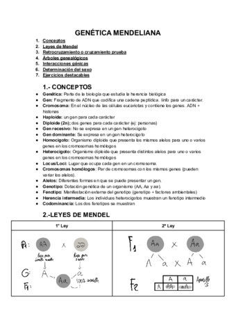Genetica.pdf