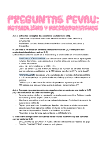 METABOLISMO-Y-MICROORGANISMOS.pdf