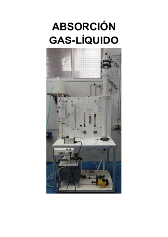 ABSORCION-GAS-LIQUIDO.pdf