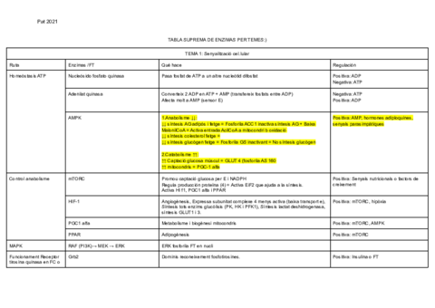 RESUM-METABOLICA.pdf