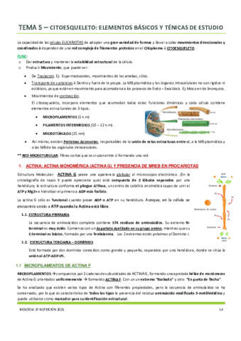 Tema-5.pdf