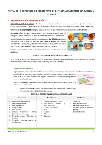 Tema-11.pdf