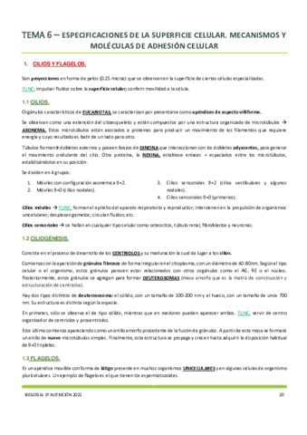 Tema-6.pdf