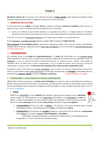 Tema-3.pdf