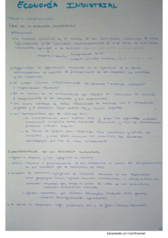 Economia-Apuntes-limpio.pdf