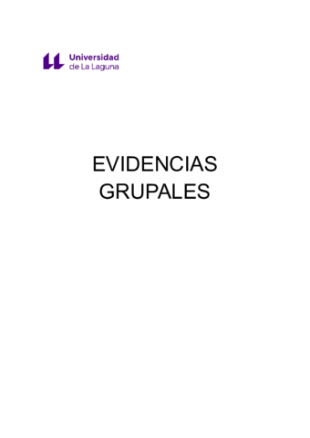 15-EVIDENCIAS-GRUPAL.pdf
