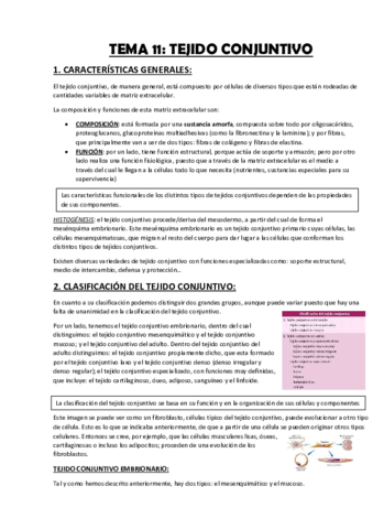 TEMA-11-TEJIDO-CONJUNTIVO.pdf