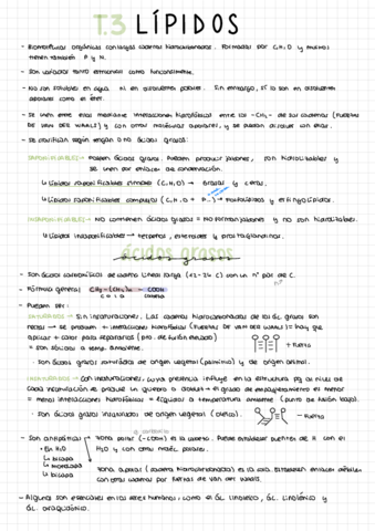 Resumen-T3.pdf