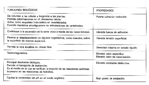 propiedades-y-funciones-del-agua.pdf
