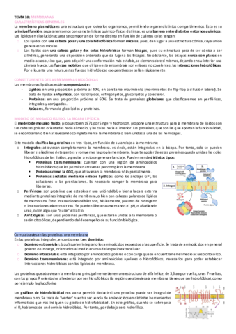 tema-10-bioquimica.pdf