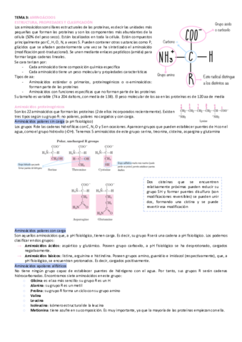 tema-3-bioquimica.pdf