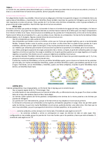 tema-5-bioquimica.pdf