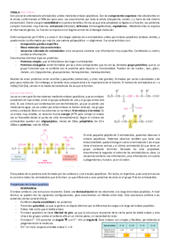tema-4-bioquimica.pdf
