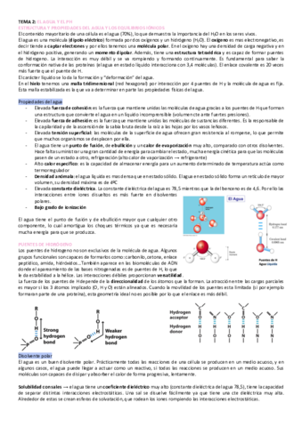 tema-2-bioquimica.pdf