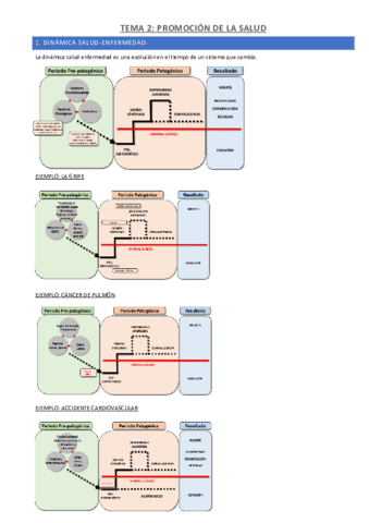 TEMA-2-PROMOCION-DE-LA-SALUD.pdf