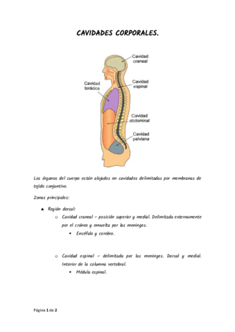 CAVIDADES-CORPORALES.pdf