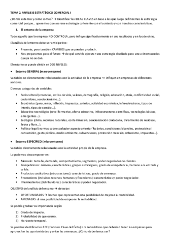 TEMA-2.pdf