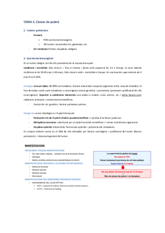 Tema-5-Cancer-de-pulmo.pdf