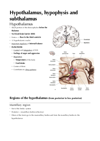 Study-hypothalamus-hypophysis.pdf