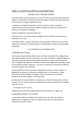 TEMA-3.pdf