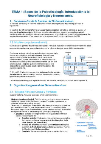 Tema 1.pdf