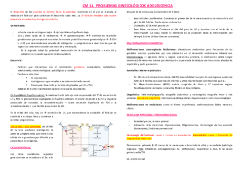 Resumenes.pdf