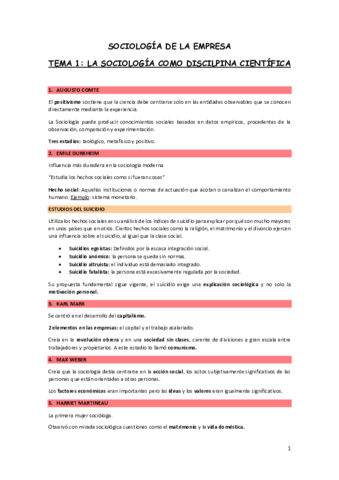 Resumen-tema-1.pdf