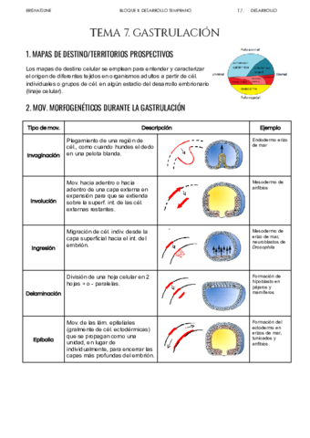 Tema-7-Gastrulacion.pdf