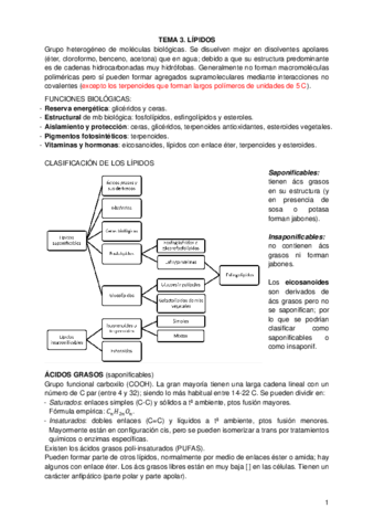 TEMA-3-BQ.pdf