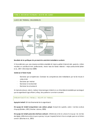 TEMA-6-RECURSOS-HUMANS-I-GESTIO-DEL-CANVI.pdf