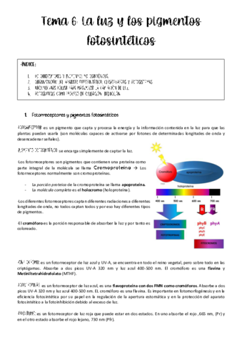 Tema-6-fisio-.pdf