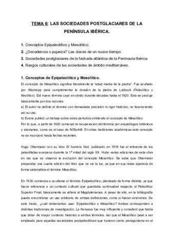 TEMA-6.pdf