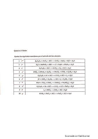 Ajustar-por-el-metodo-ion-electron-Ines20221004132323.pdf