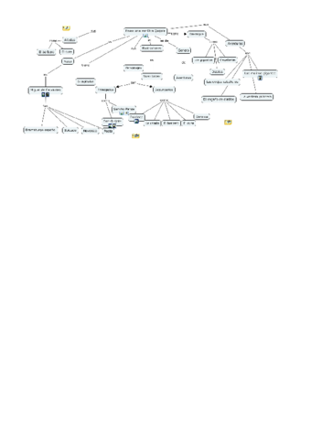 resumen-don-Quijote-p.pdf